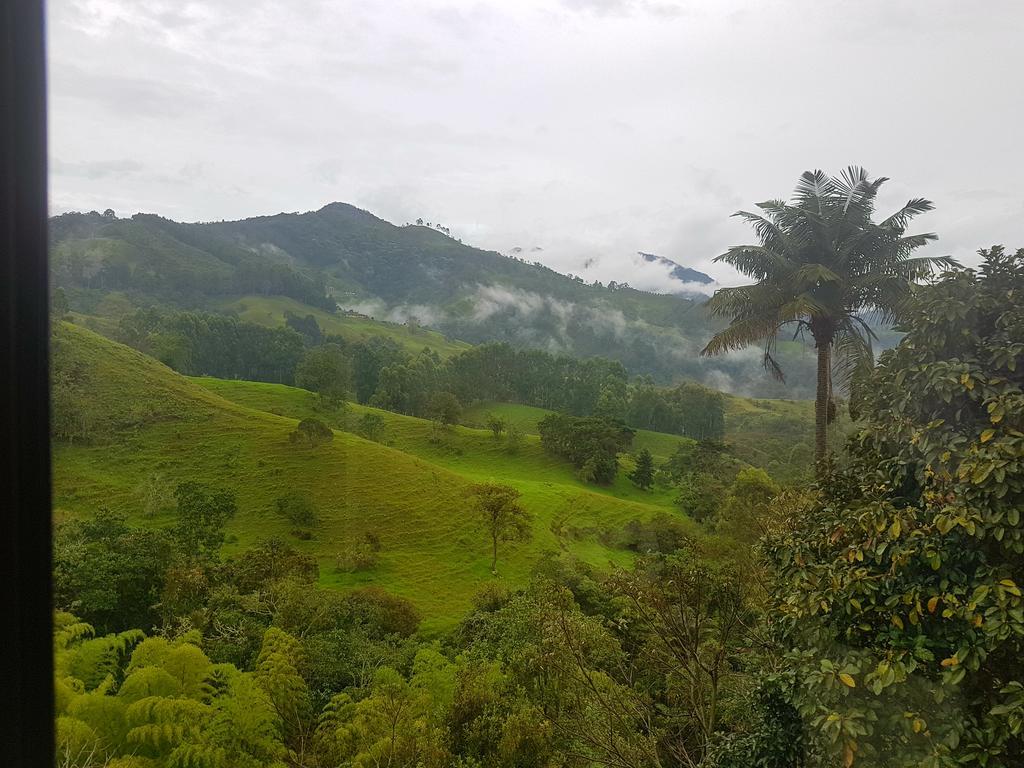 Mirador De Los Cedros Salento Exteriör bild
